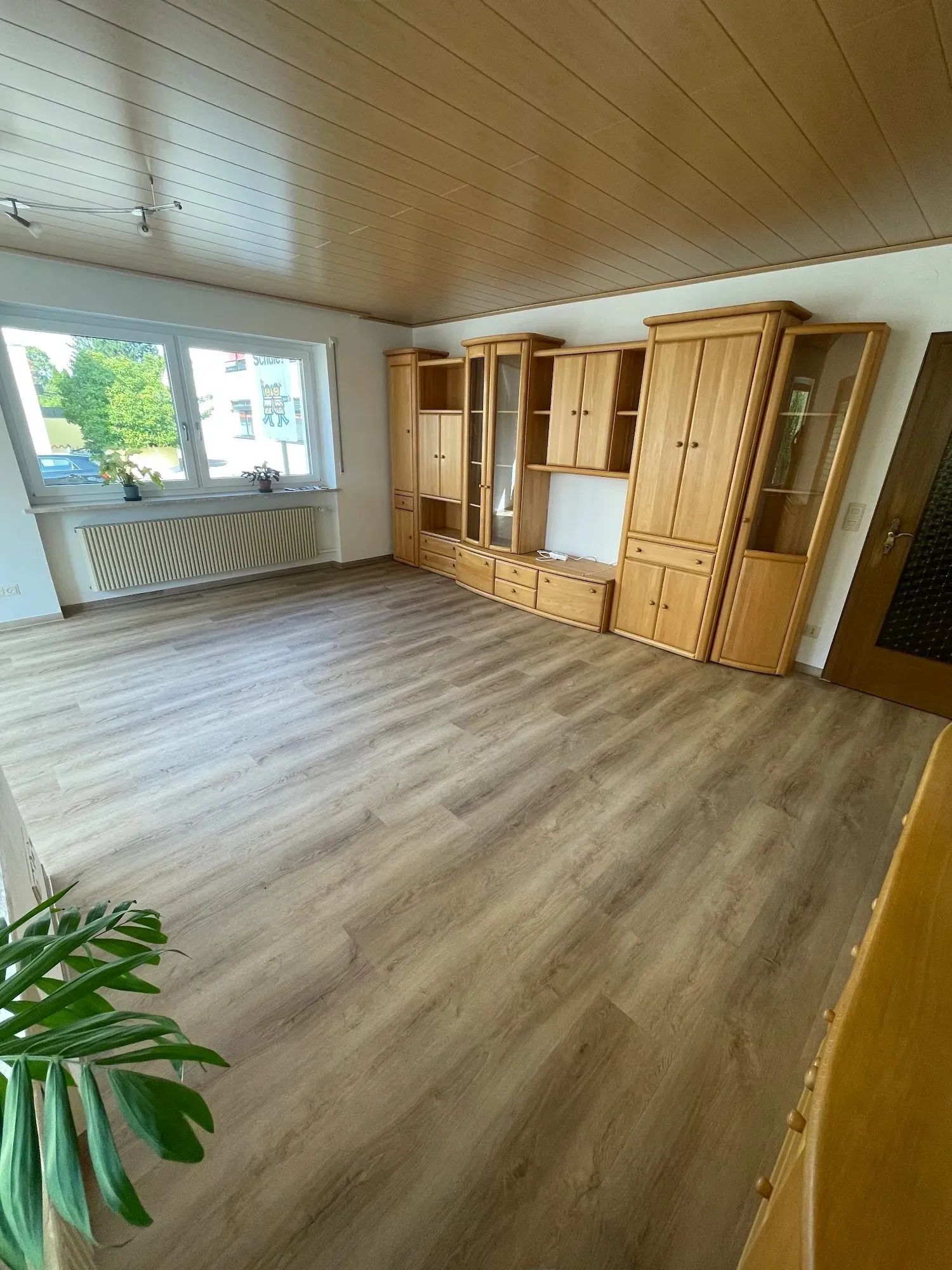 Wohnzimmer mit greige Eichendielen, Holzdecke und Monstera im Vordergrund
